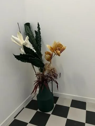 Cas'antica Apartment *